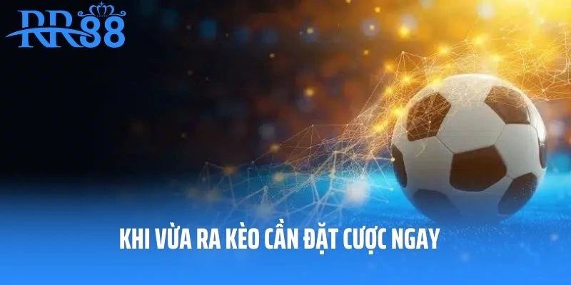 Khi vừa ra kèo cần đặt cược ngay