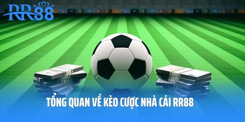 Tổng quan về kèo cược nhà cái RR88