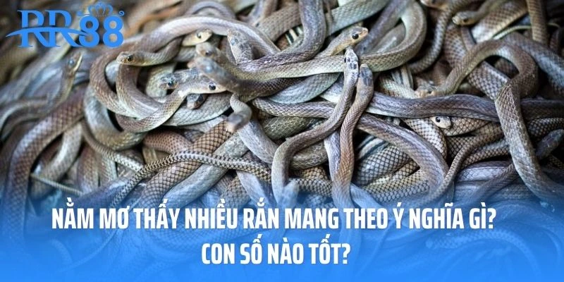 Nằm mơ thấy nhiều rắn