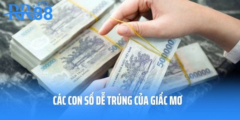Các con số dễ trúng của giấc mơ